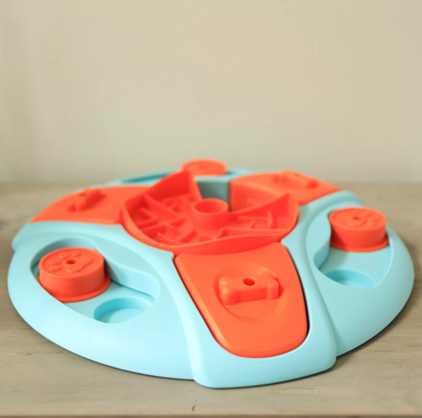 Mind-Challenging Dog Puzzles for Enhanced Brain Activity - Image 2