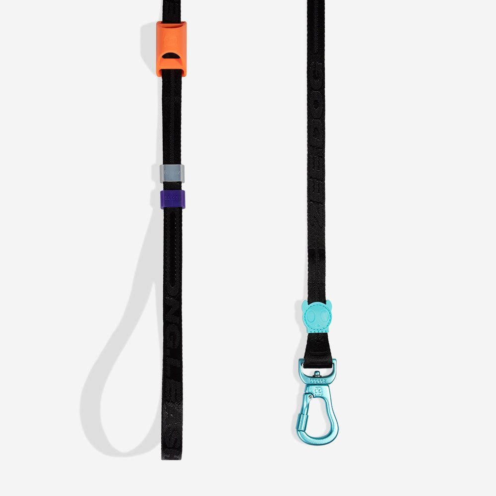 Segundo | Long Leash 2.0 - Image 3