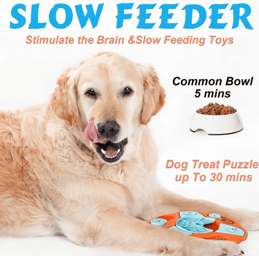 Mind-Challenging Dog Puzzles for Enhanced Brain Activity - Image 5